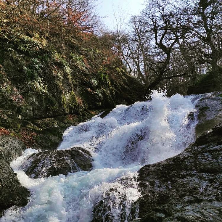 روستای نصفی شهرستان رودبار، نصفی گیلان، نصفی رستم آباد، آلش دشت، تپه ی مارلیک، جام مارلیک، مارلیک رستم آباد